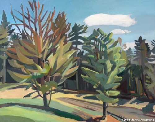24-Two-Trees---Spring