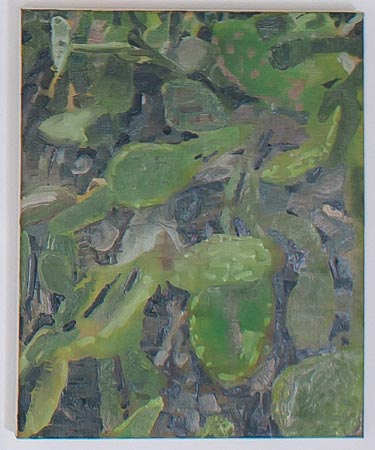 Cactus-1