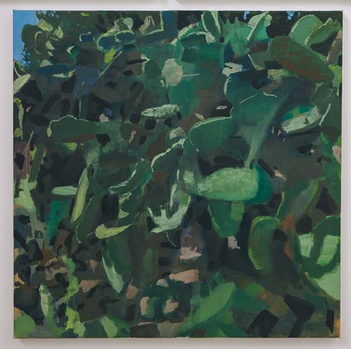 Cactus-2