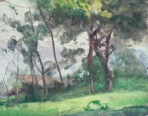 landscape60s