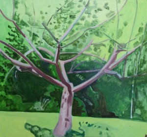 APPLE TREE (PRUNED) 2014 oil on masonite 16 x 17 inches