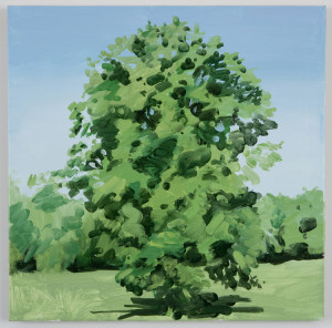 lone-tree-large