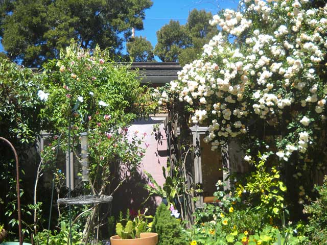 studio view