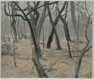 woods-large