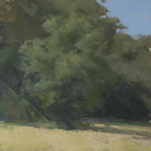 Tree, Oil on panel, 12 x 12" 2016